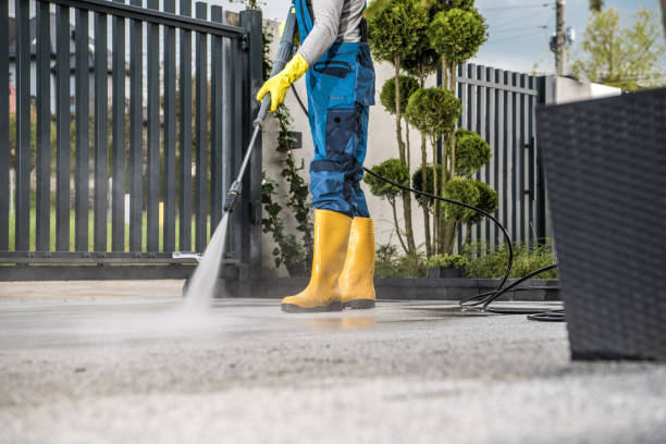 Best Roof Power Washing Services  in Fox Lake, WI